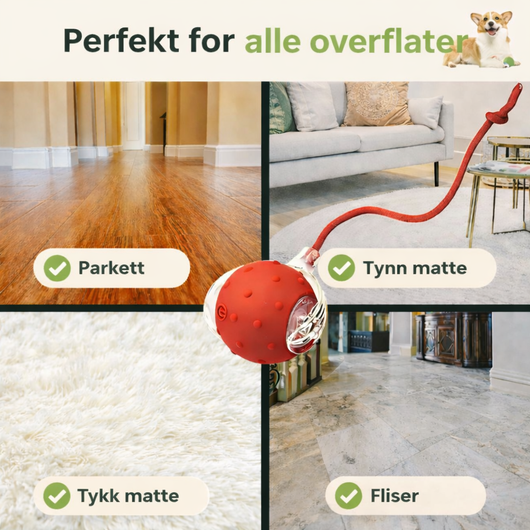 Gledeballen – for en gladere, roligere og mer fornøyd hund hver dag