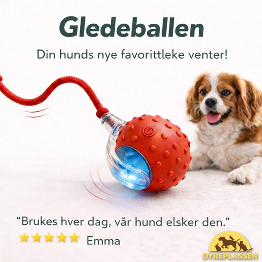 Gledeballen – for en gladere, roligere og mer fornøyd hund hver dag